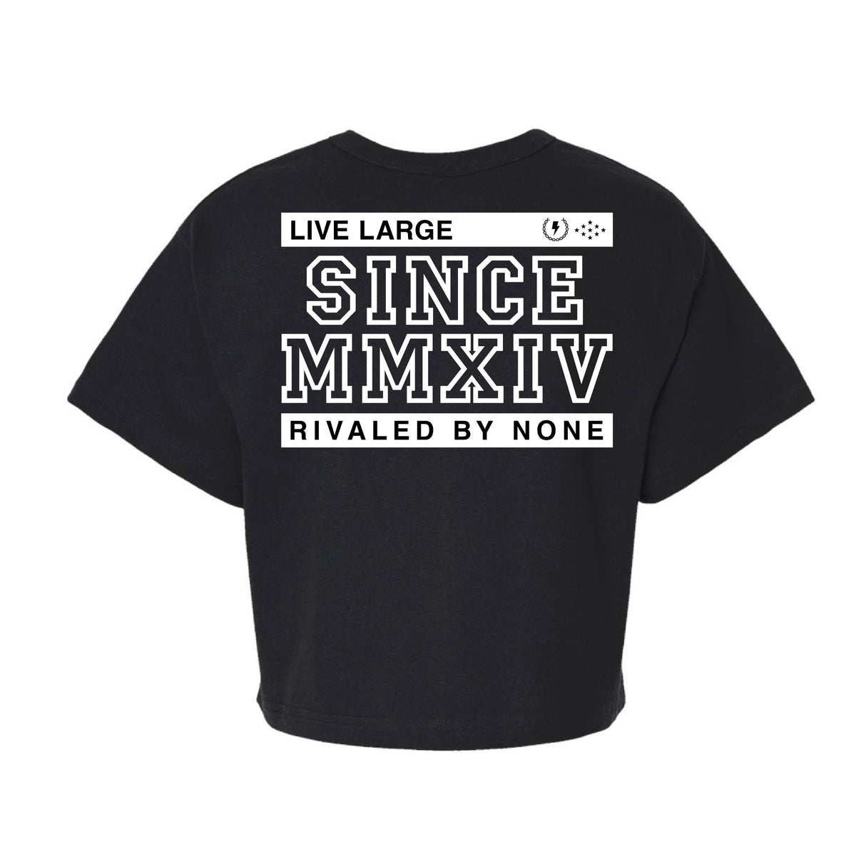 Champion Legacy Jersey Crop